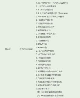 CADD蛋白结构分析、虚拟筛选、分子对接